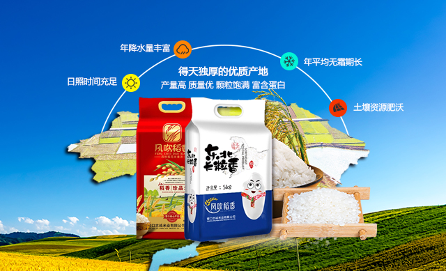 J9国际站|集团官网