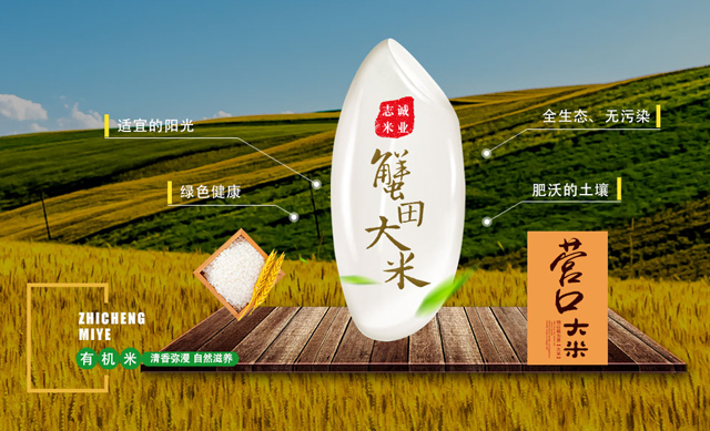 J9国际站|集团官网