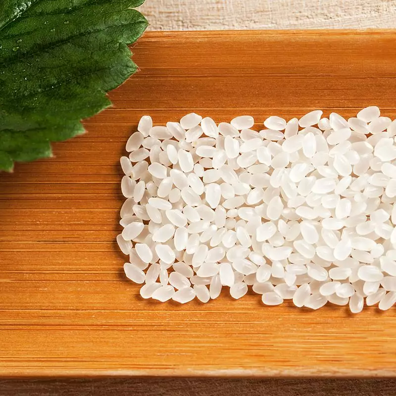 J9国际站|集团官网